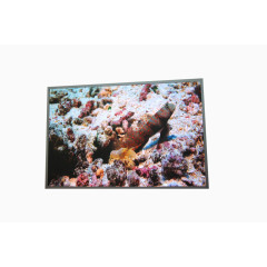 现代化免扣LED电子液晶显示屏