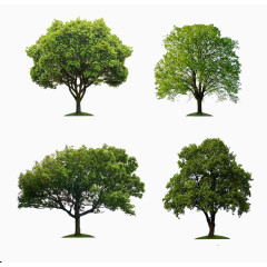 四棵大树装饰图