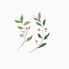 圣诞节元素喜庆节日活动元素