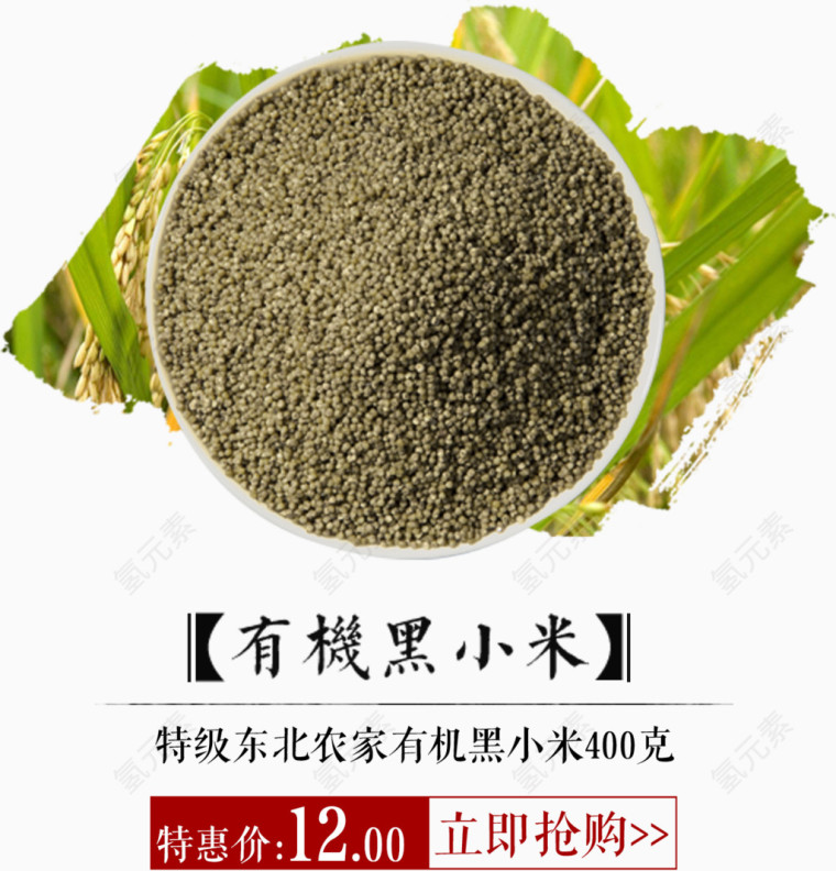 黑小米
