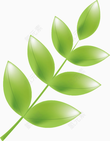 绿色树叶