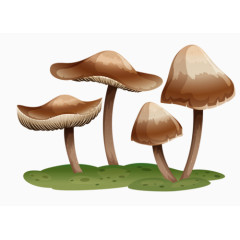 卡通蘑菇