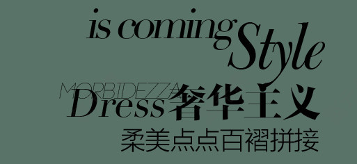 奢华主义淘宝字体排版