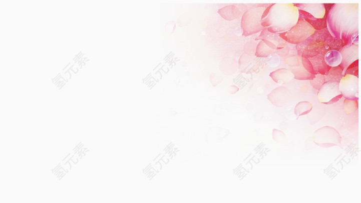 花瓣背景