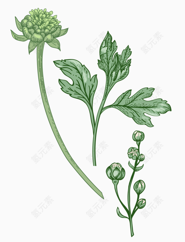 淡雅的花