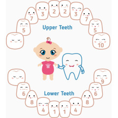 矢量可爱卡通牙齿注解素材