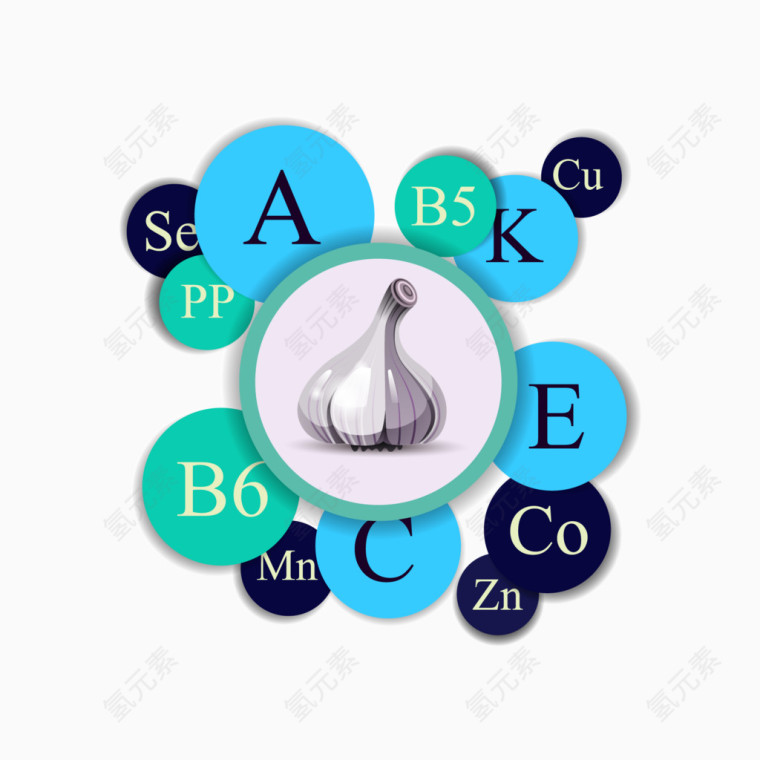 大蒜和营养成分ppt矢量素材