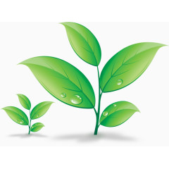 叶子，树叶，绿叶，绿色，淘宝素材