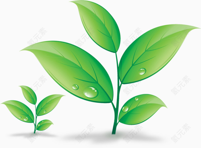 叶子，树叶，绿叶，绿色，淘宝素材