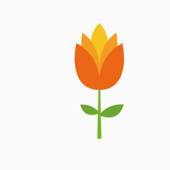 手绘待放美丽荷花