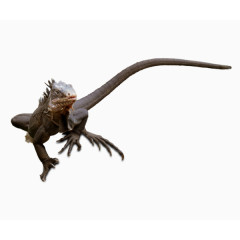 凶猛恐龙霸王龙