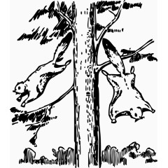 大树上挂着许多老鼠免费图片