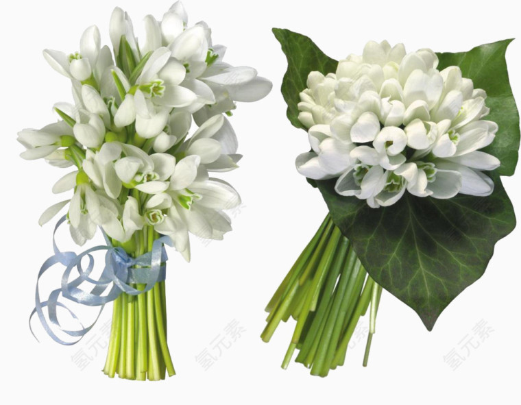 洁白花束