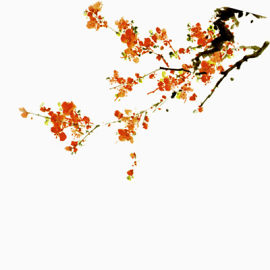 中式冬季手绘梅花素材