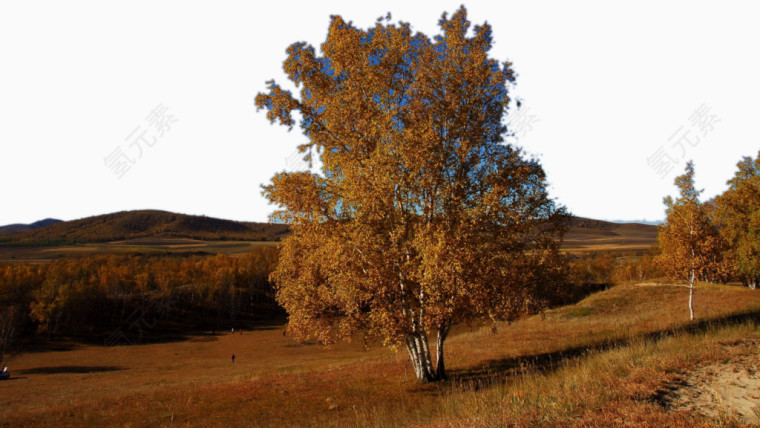 河北承德木兰围场二