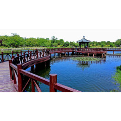 圆明园夏天风景