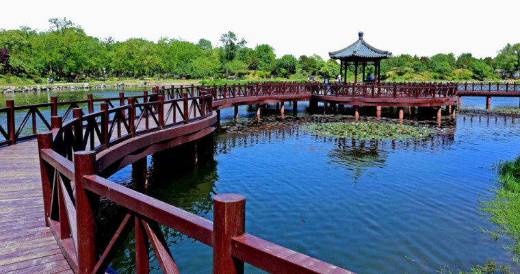 圆明园夏天风景