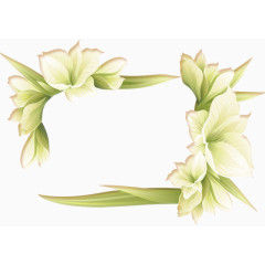 白色喇叭花相框