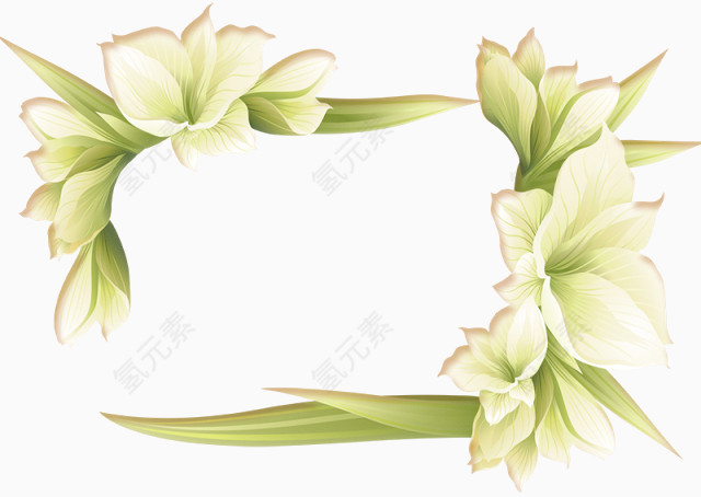 白色喇叭花相框