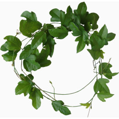绿叶花环