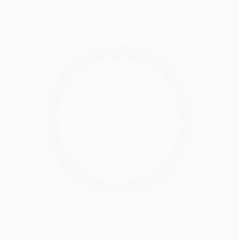 白色圆形蕾丝边框03