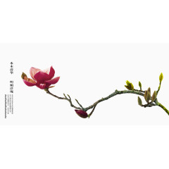二十四节气立春素材