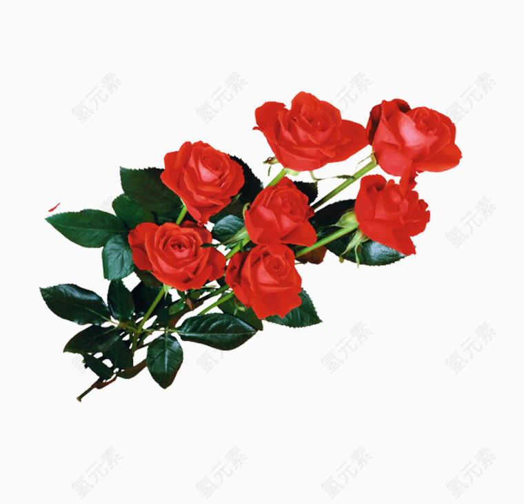 鲜花