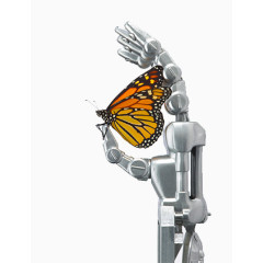机械手蝴蝶图片