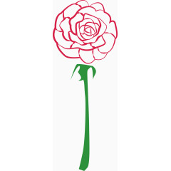 玫瑰花