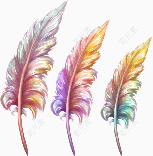 彩色羽毛