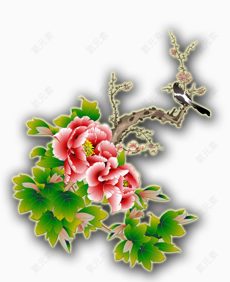 盛开的牡丹花