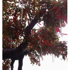 挂满红布的许愿树