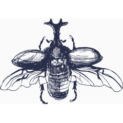 矢量甲壳虫剪影