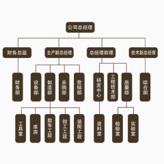 公司组织结构