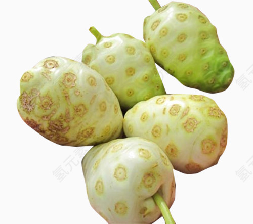 绿色诺丽果
