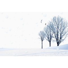 雪里的风景