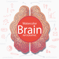水彩大脑信息图表