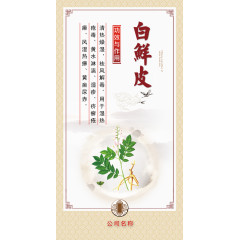 中医药材宣传画