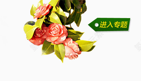 花卉花朵装饰图案