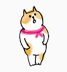 手绘猫咪插画表情包