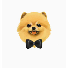 手绘可爱小狗博美