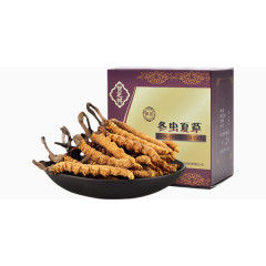 虫草保健品