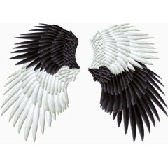 黑白配翅膀设计