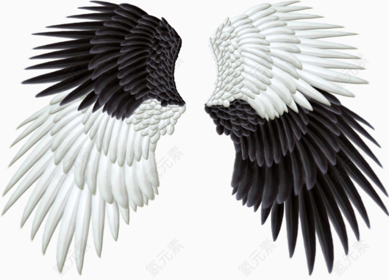黑白配翅膀设计