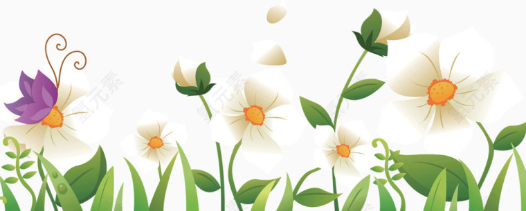 蝴蝶与朵朵小花