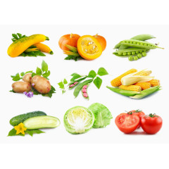 新鲜的蔬菜  绿色蔬菜 新鲜 西兰花 辣椒 番茄 西红柿 土豆 黄瓜 南瓜 苦瓜 茄子 豌豆 水果蔬菜