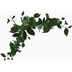 墨绿色植物装饰