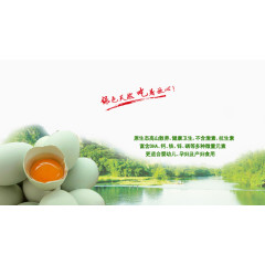 绿色天然健康食品海报背景效果