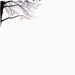 中国风水墨江南烟雨古树