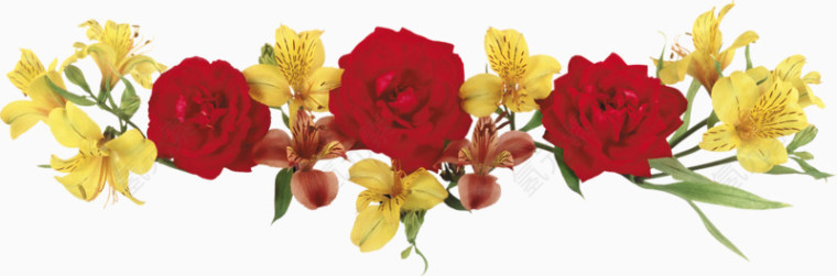 红色玫瑰花花环
